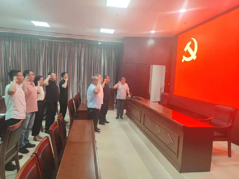 联合团支部召开“迎七一”主题党日活动暨召开第二季度党员大会